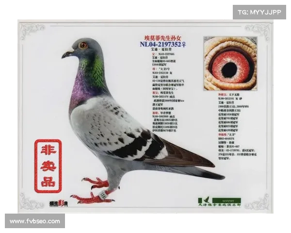 詹金斯:埃迪的独特天赋和防守多样性将成就他未来(艾迪詹森) 詹金斯:埃迪的独特天赋和防守多样性将成就他未来(艾迪詹森)